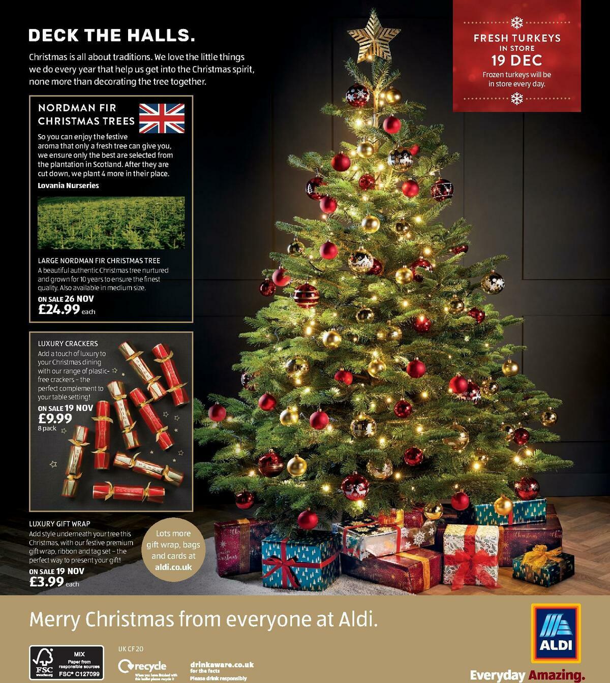ALDI Christmas Brochure Offers from 8 November