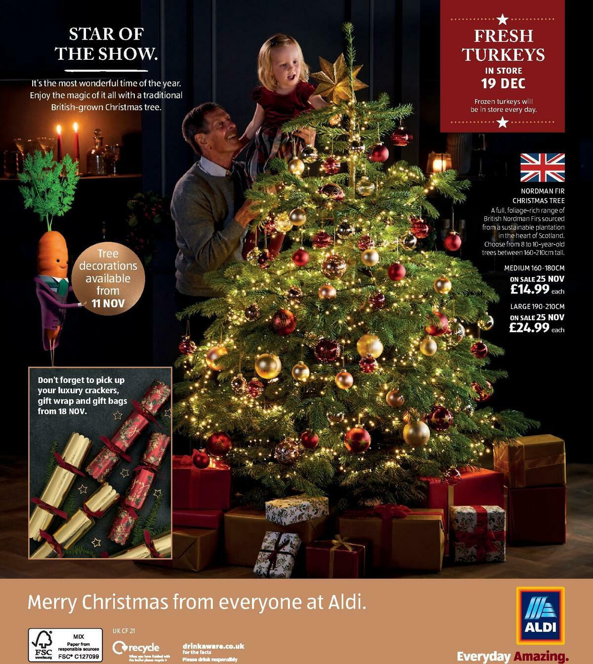 ALDI Christmas Brochure Offers from 10 November