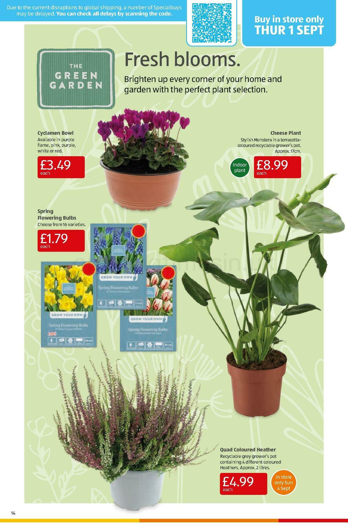 ALDI Offers from 28 August