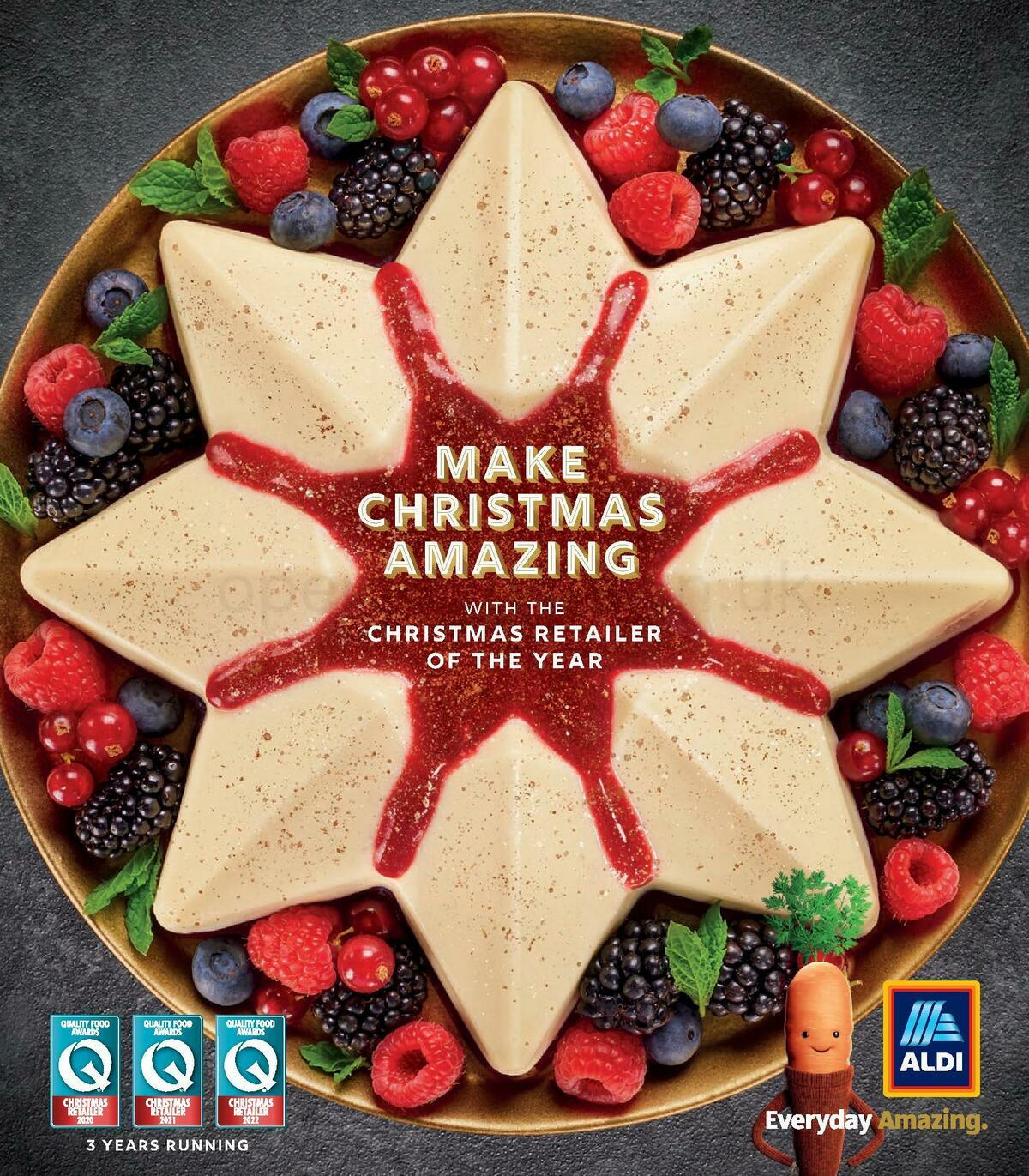ALDI Christmas Brochure Offers from 18 November