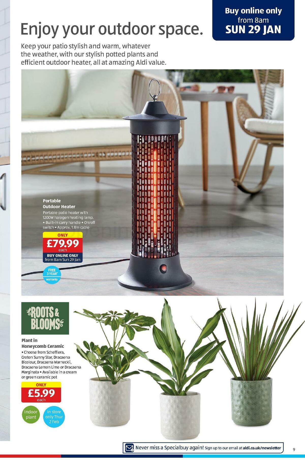 ALDI Offers from 29 January