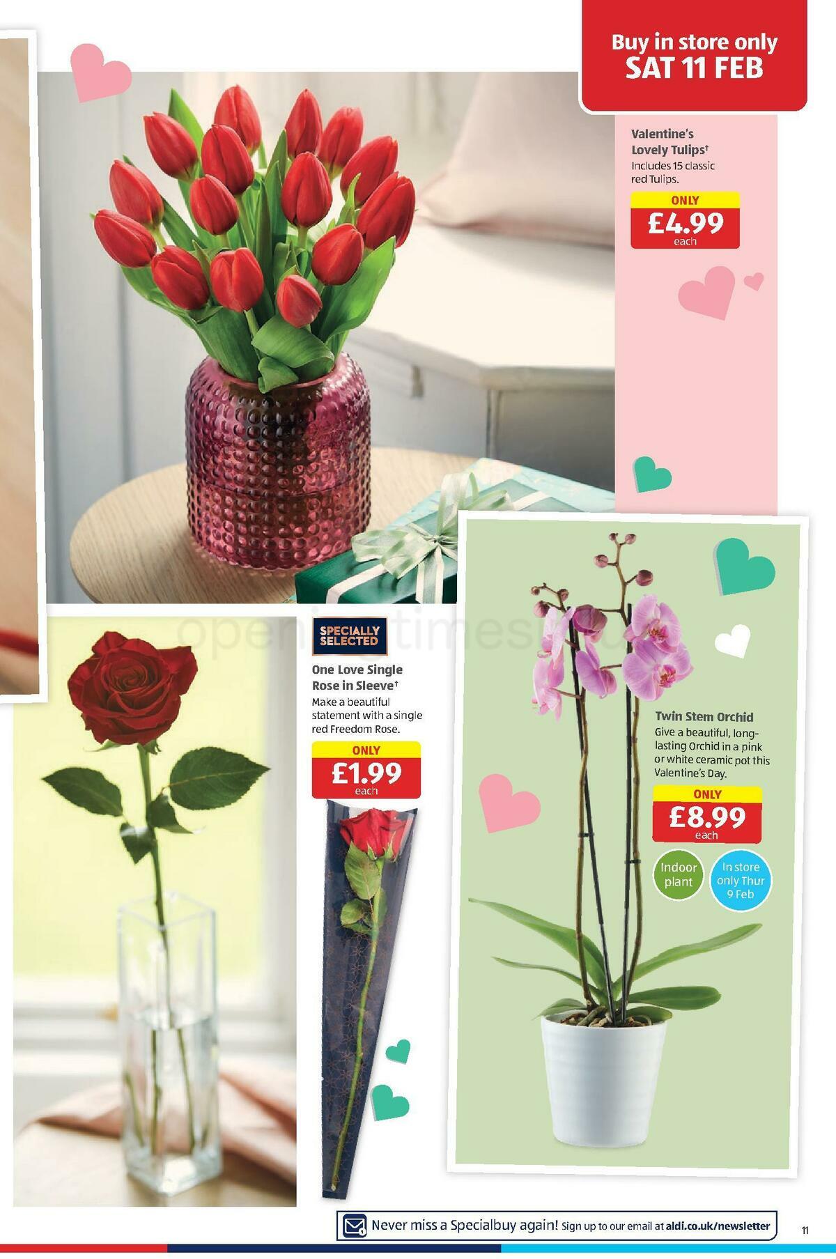 ALDI Offers from 6 February
