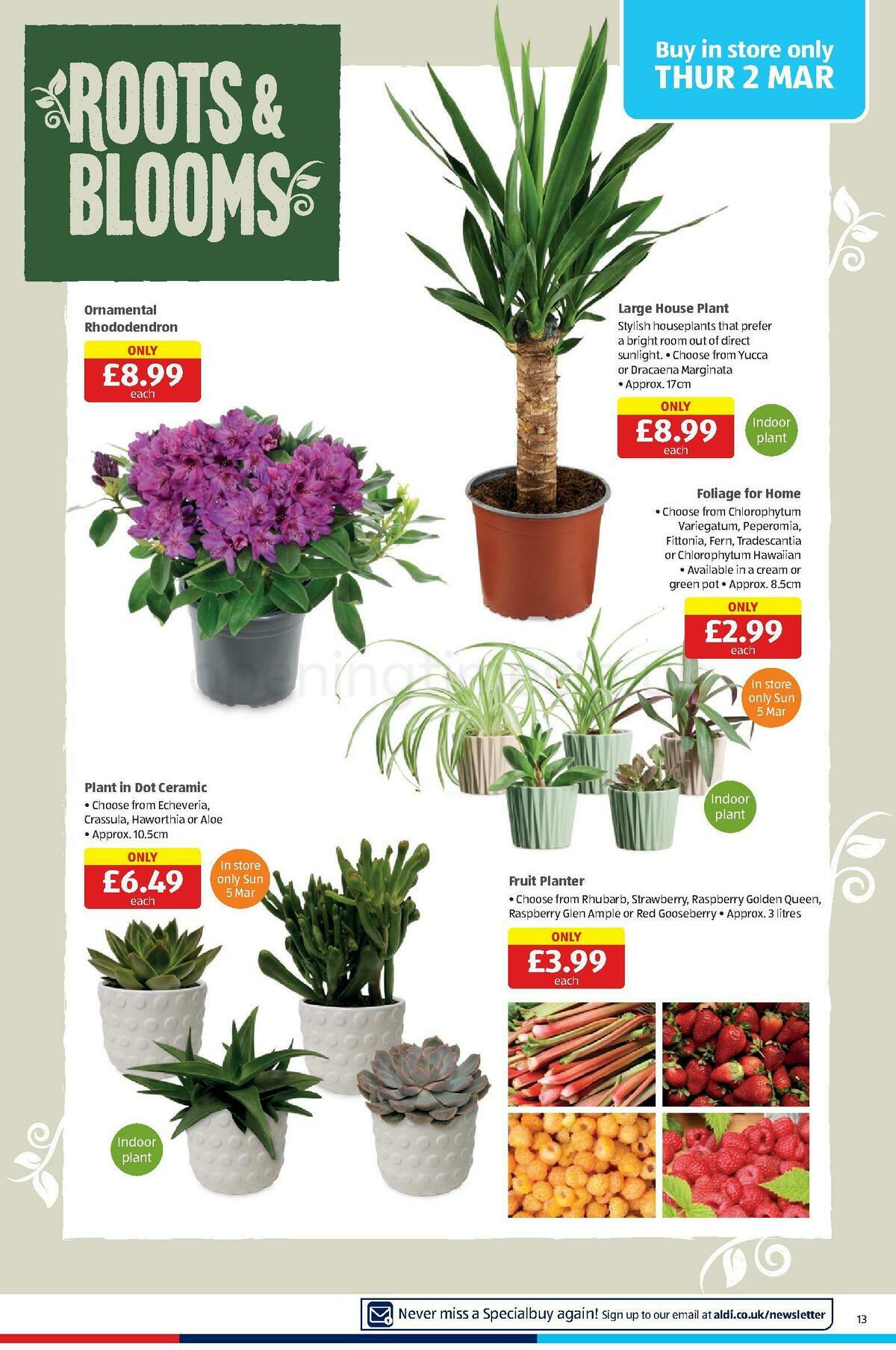 ALDI Offers from 26 February