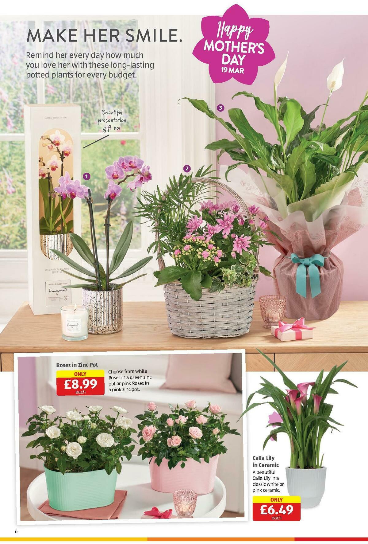 ALDI Scottish Offers from 12 March