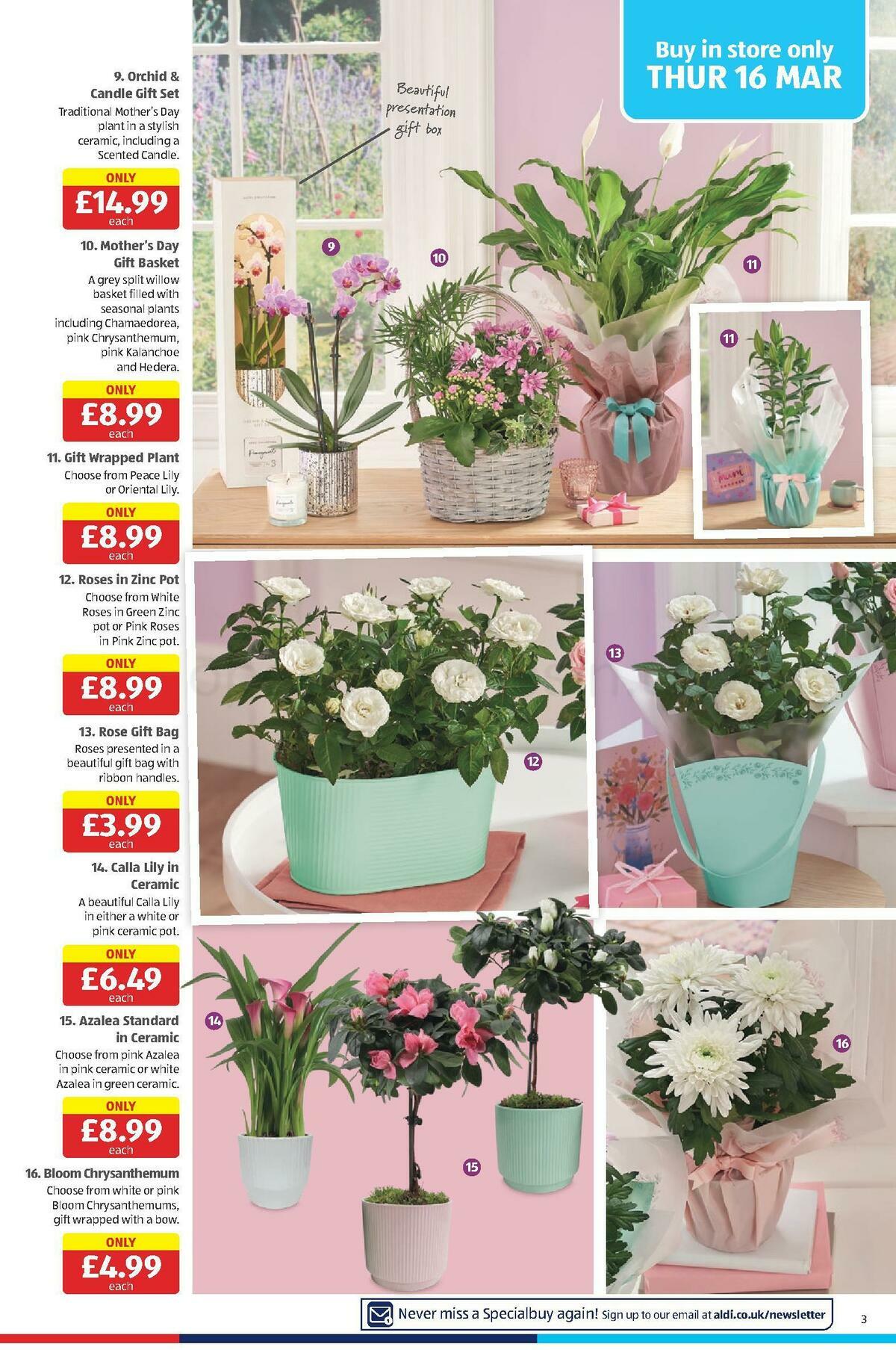 ALDI Scottish Offers from 19 March