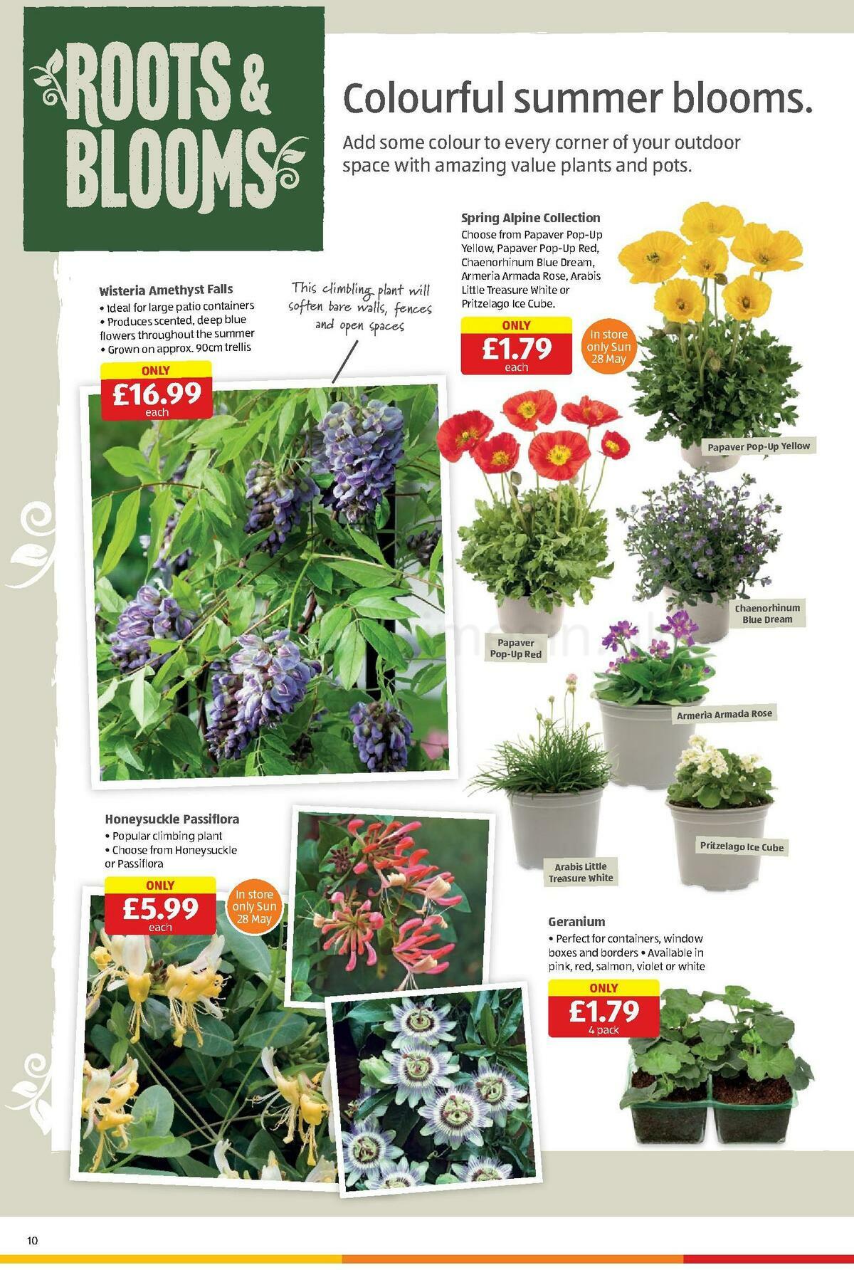 ALDI Scottish Offers from 21 May