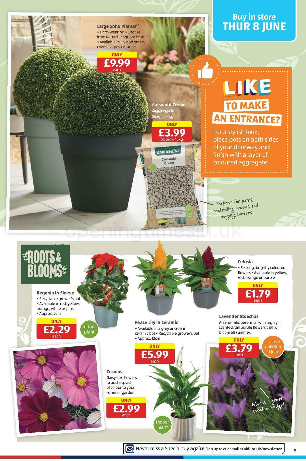 ALDI Offers from 4 June