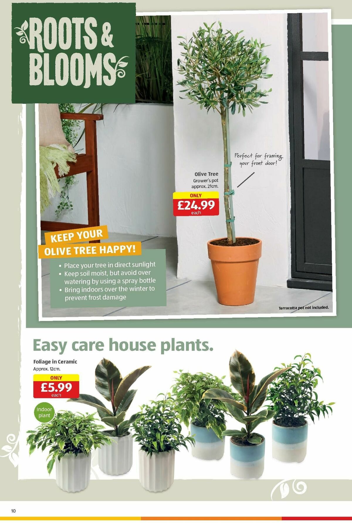 ALDI Scottish Offers from 30 July