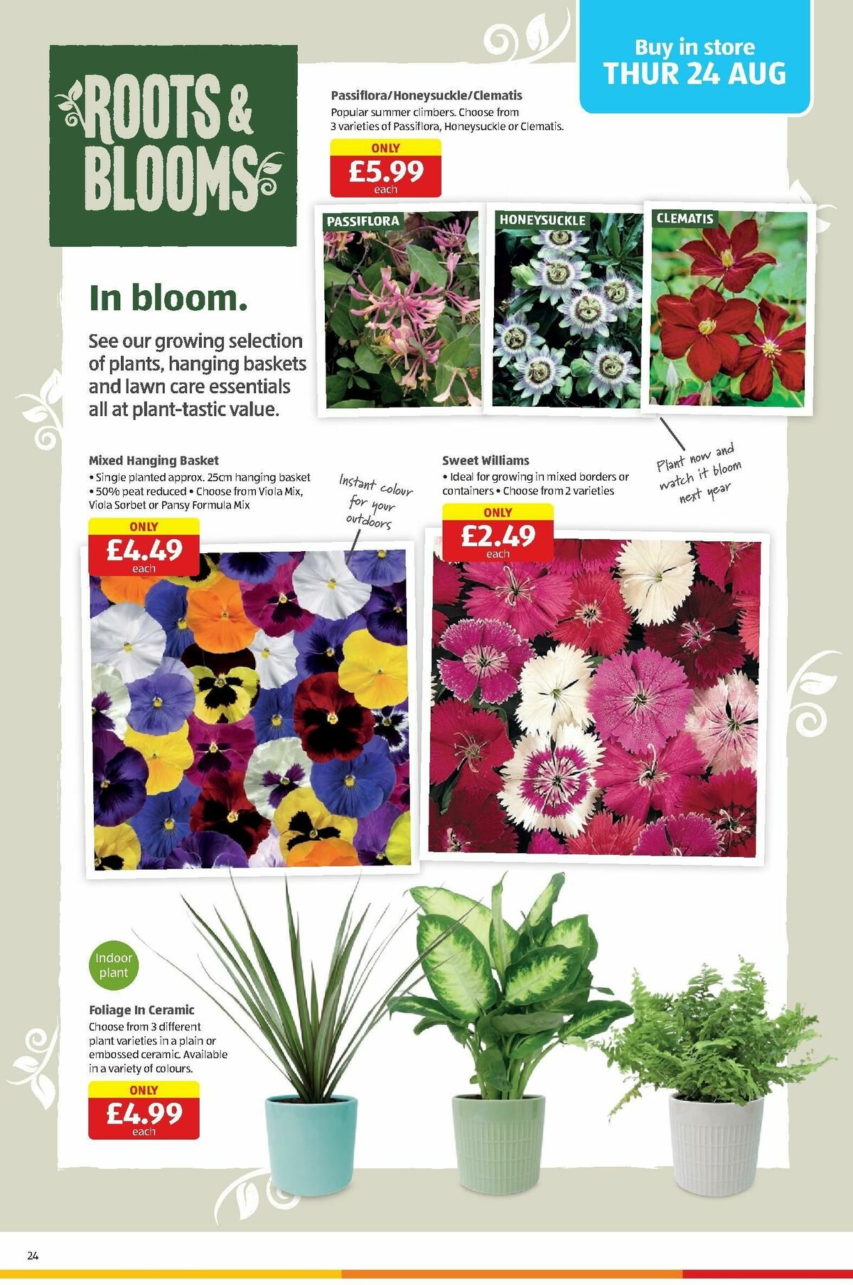 ALDI Scottish Offers from 21 August