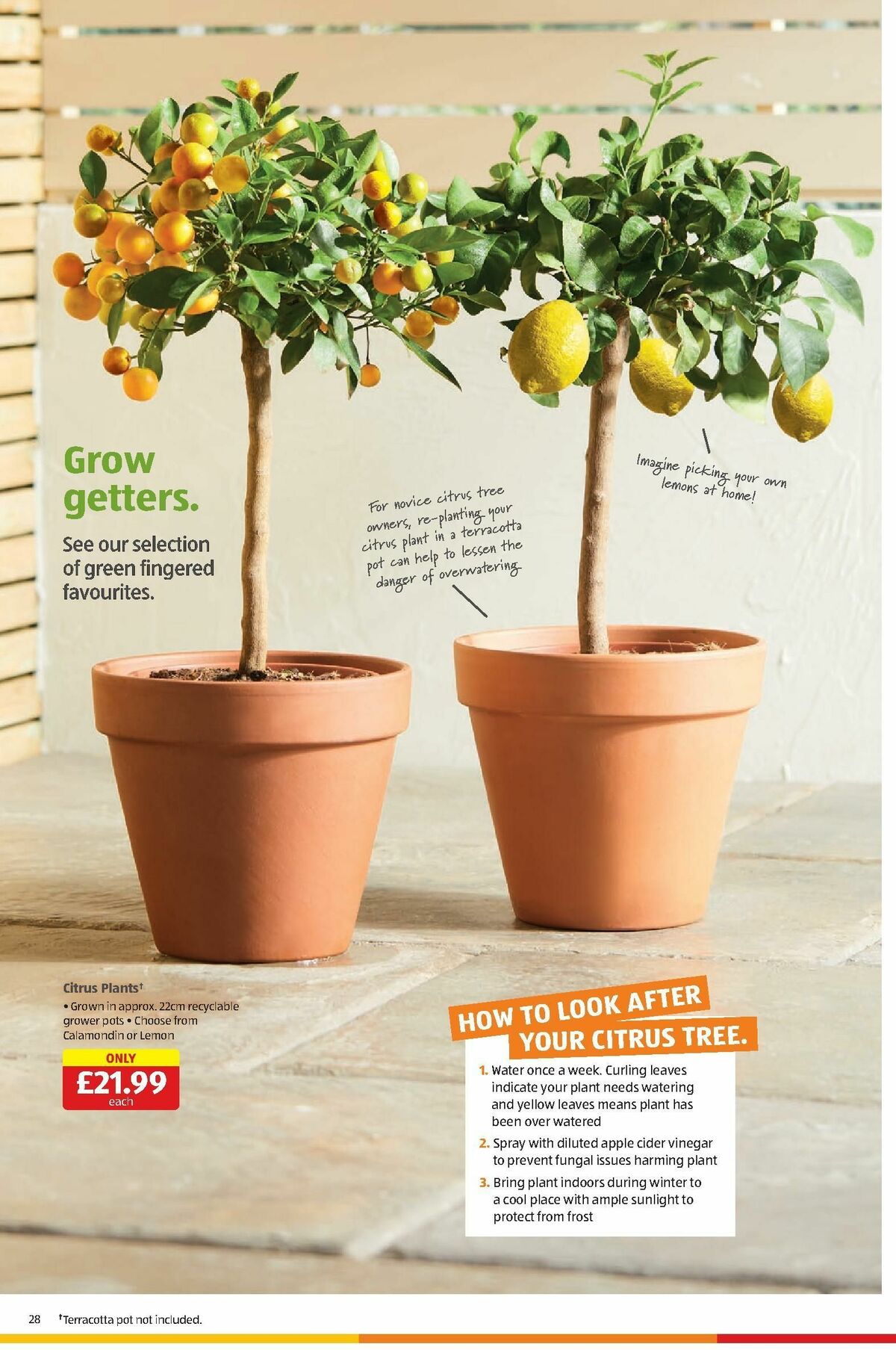 ALDI Offers from 28 August
