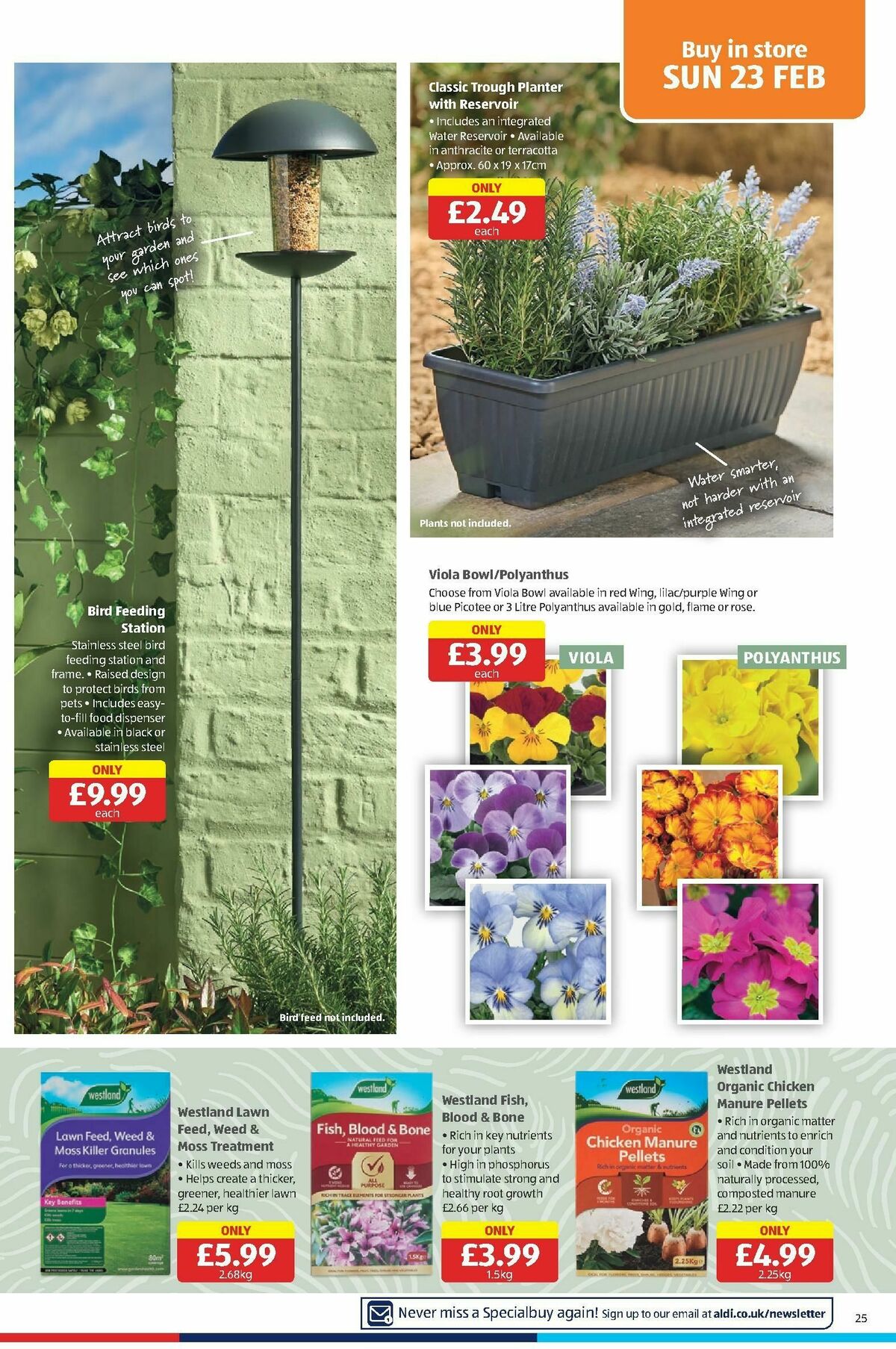 ALDI Scottish Offers from 17 February