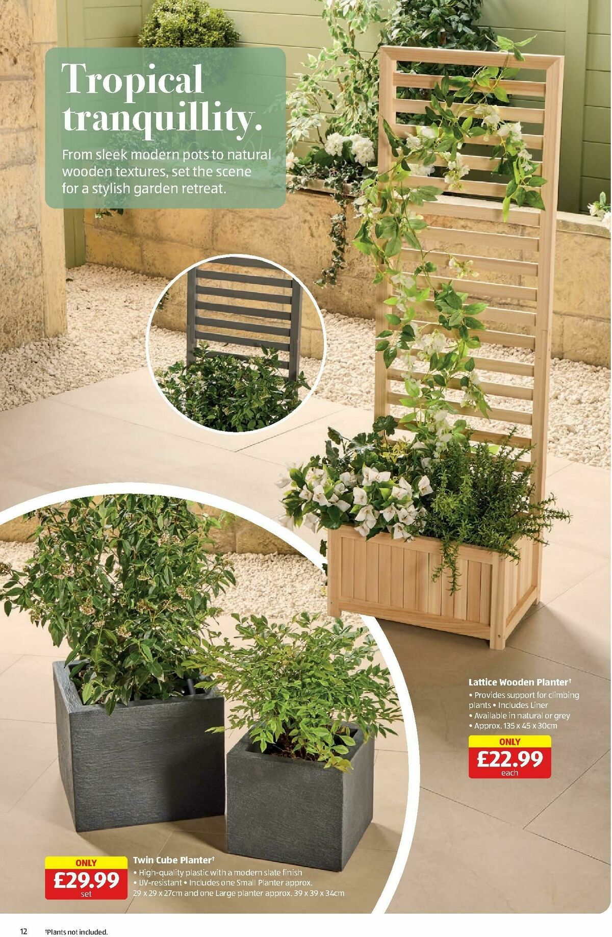 ALDI Scottish Offers from 19 May