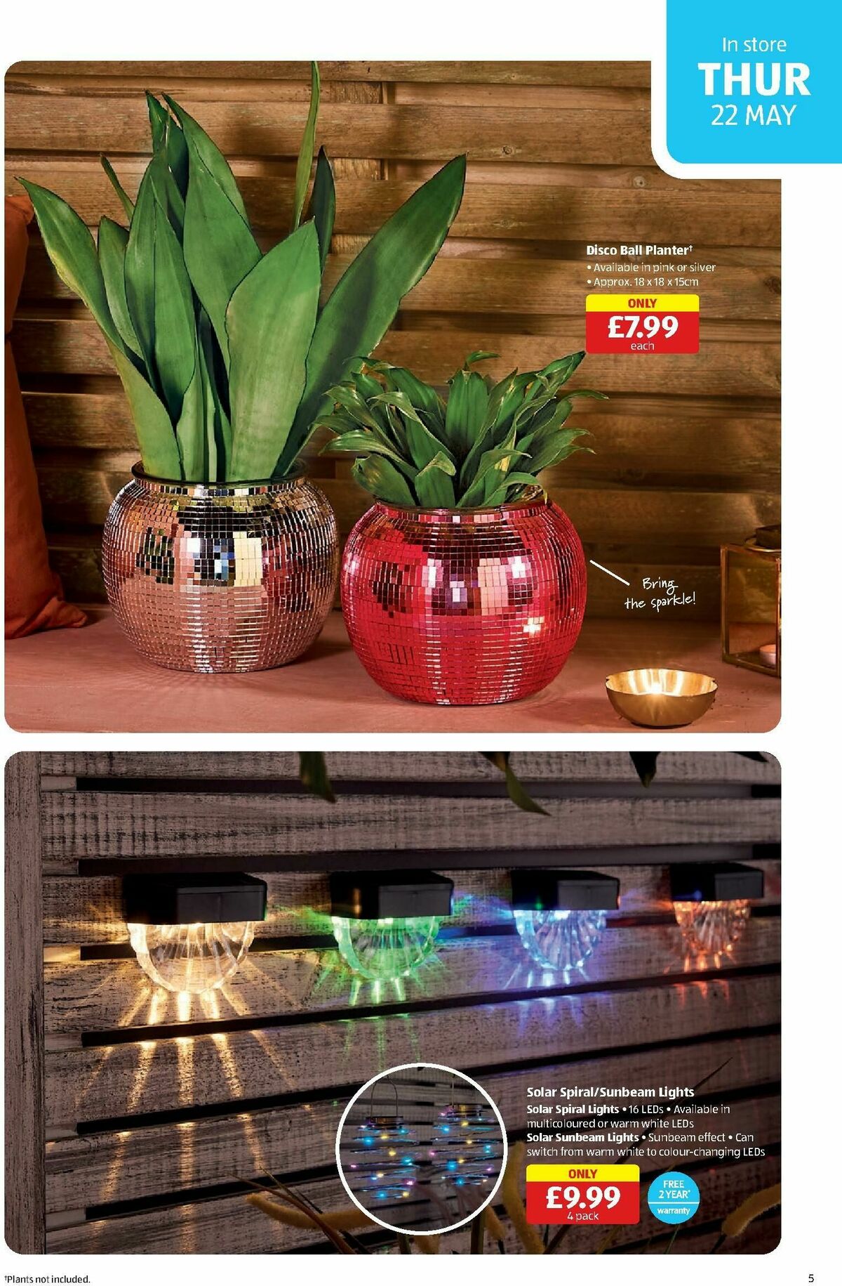 ALDI Scottish Offers from 19 May