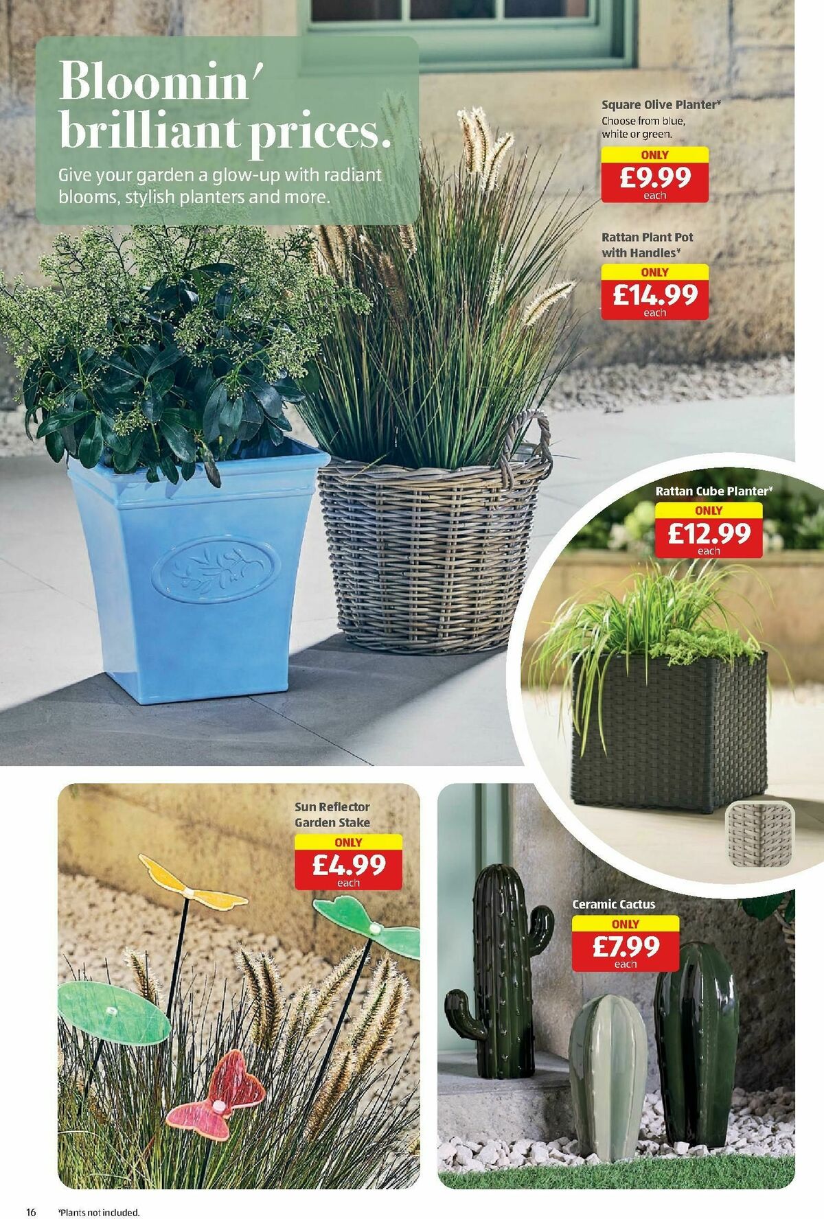 ALDI Offers from 30 June