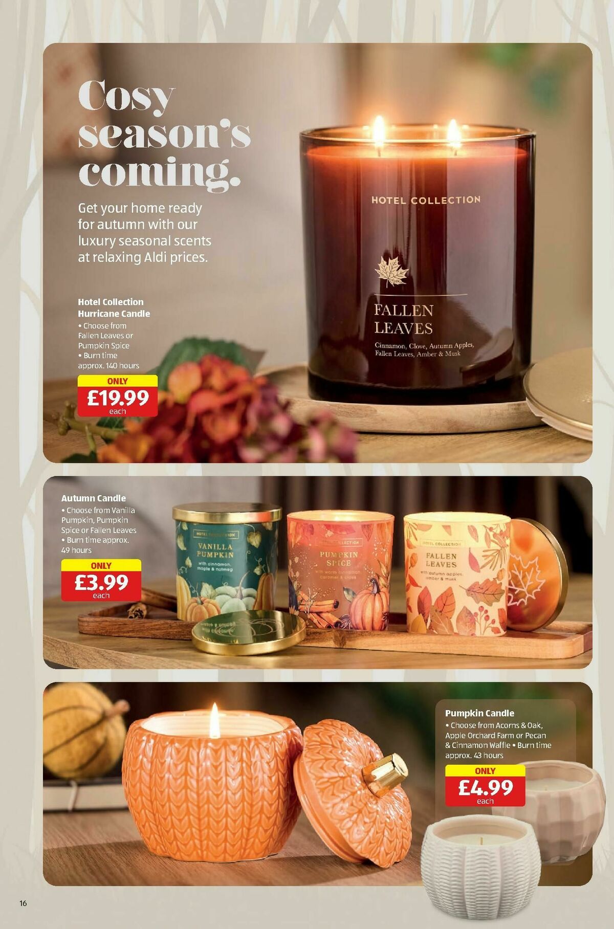 ALDI Scottish Offers from 11 August