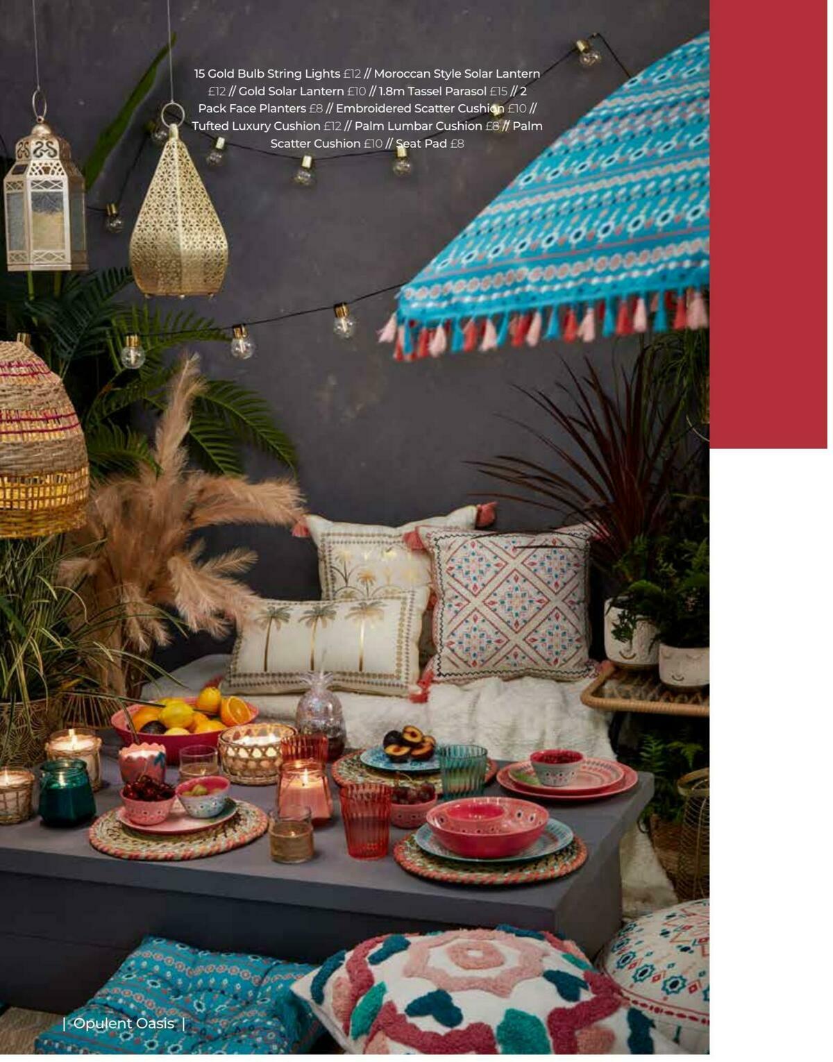 B&M Garden Offers from 1 March