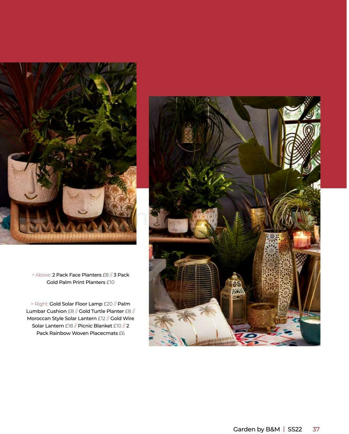 B&M Garden Offers from 1 March