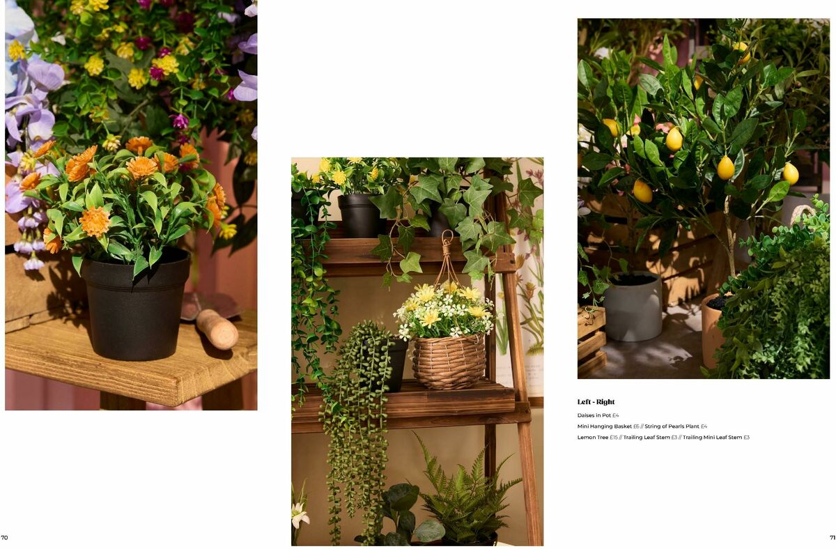 B&M Spring/Summer Garden Offers from 24 January