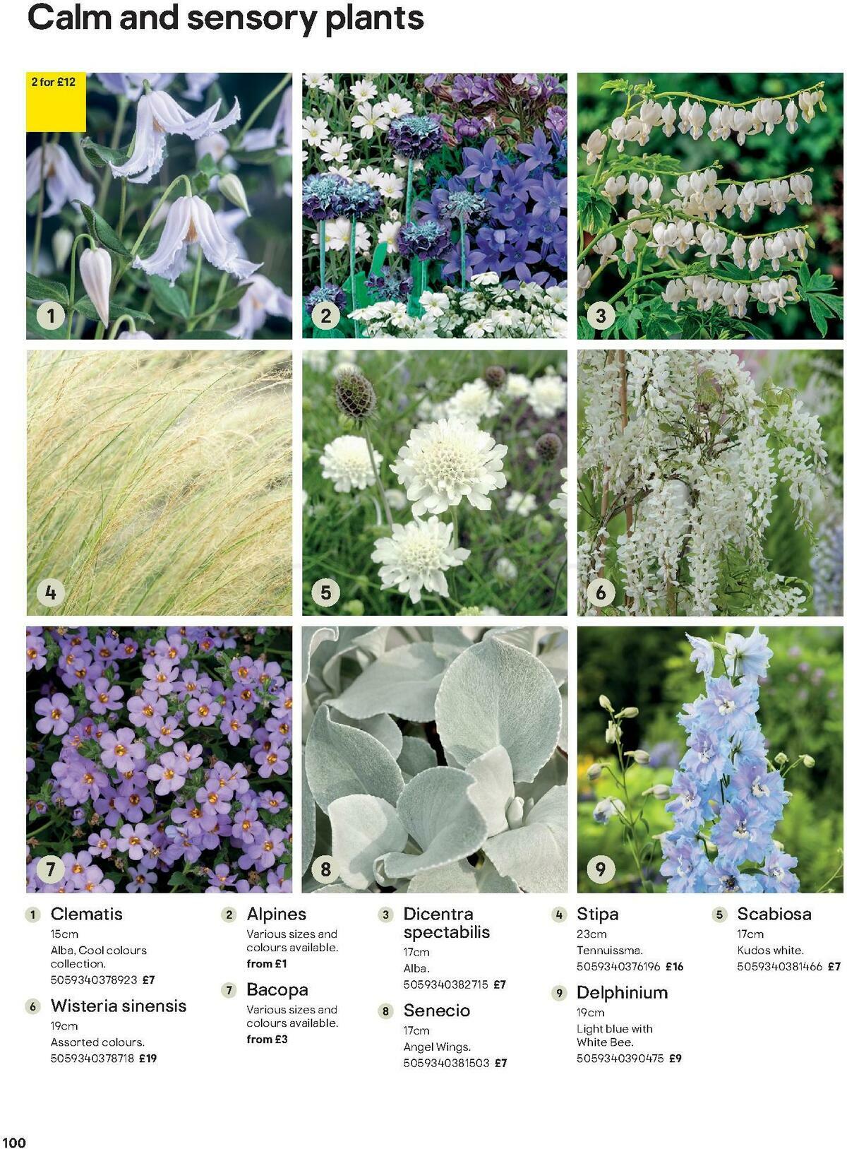 B&Q Outdoors Offers from 1 March