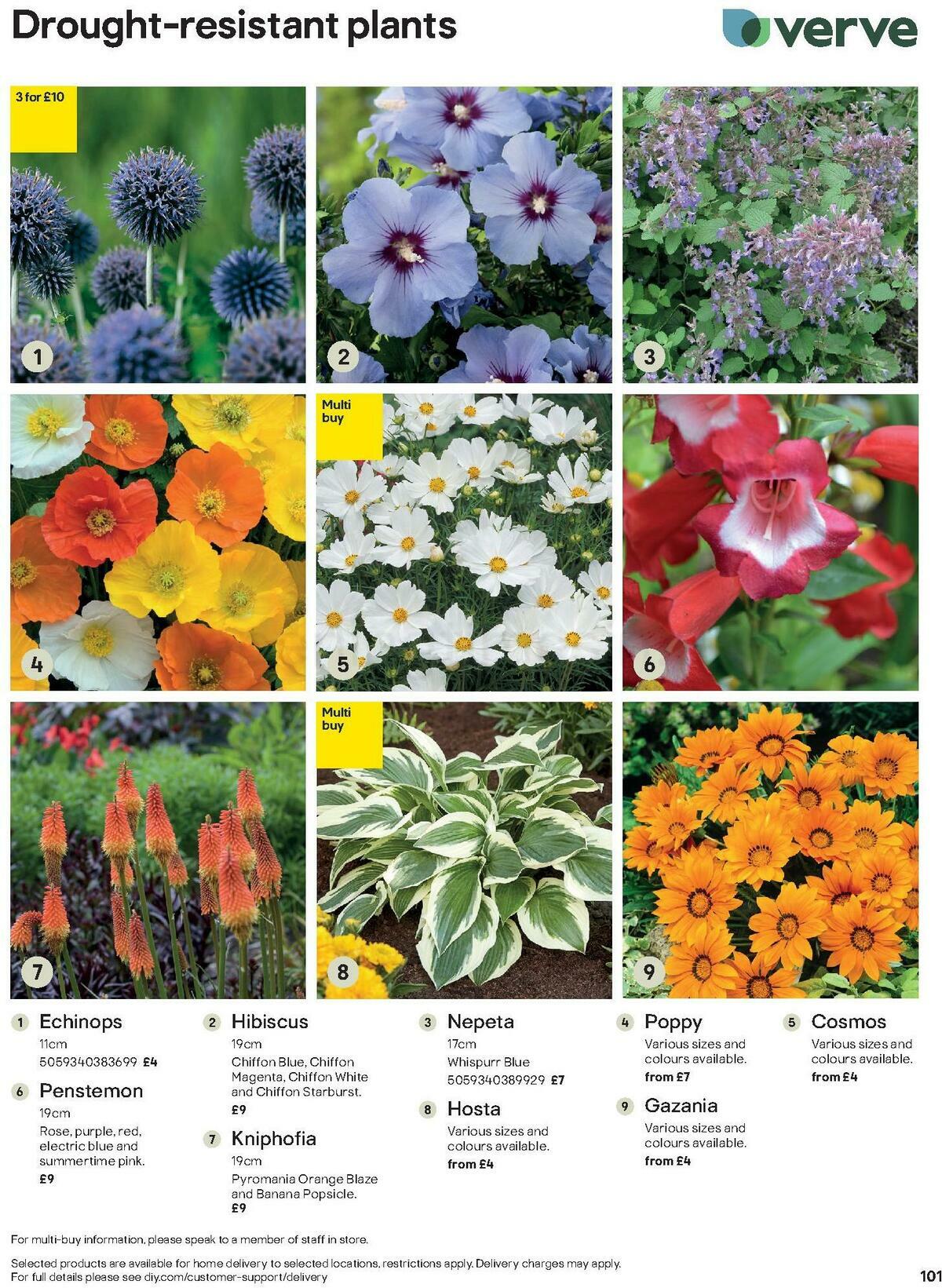 B&Q Outdoors Offers from 1 March