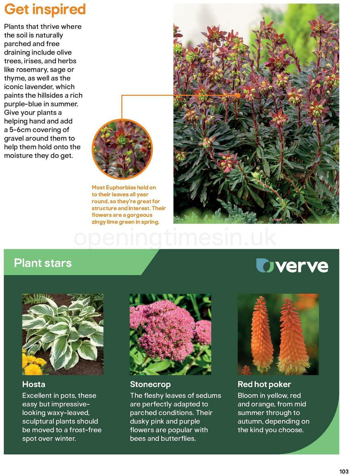 B&Q Outdoors Offers from 1 March