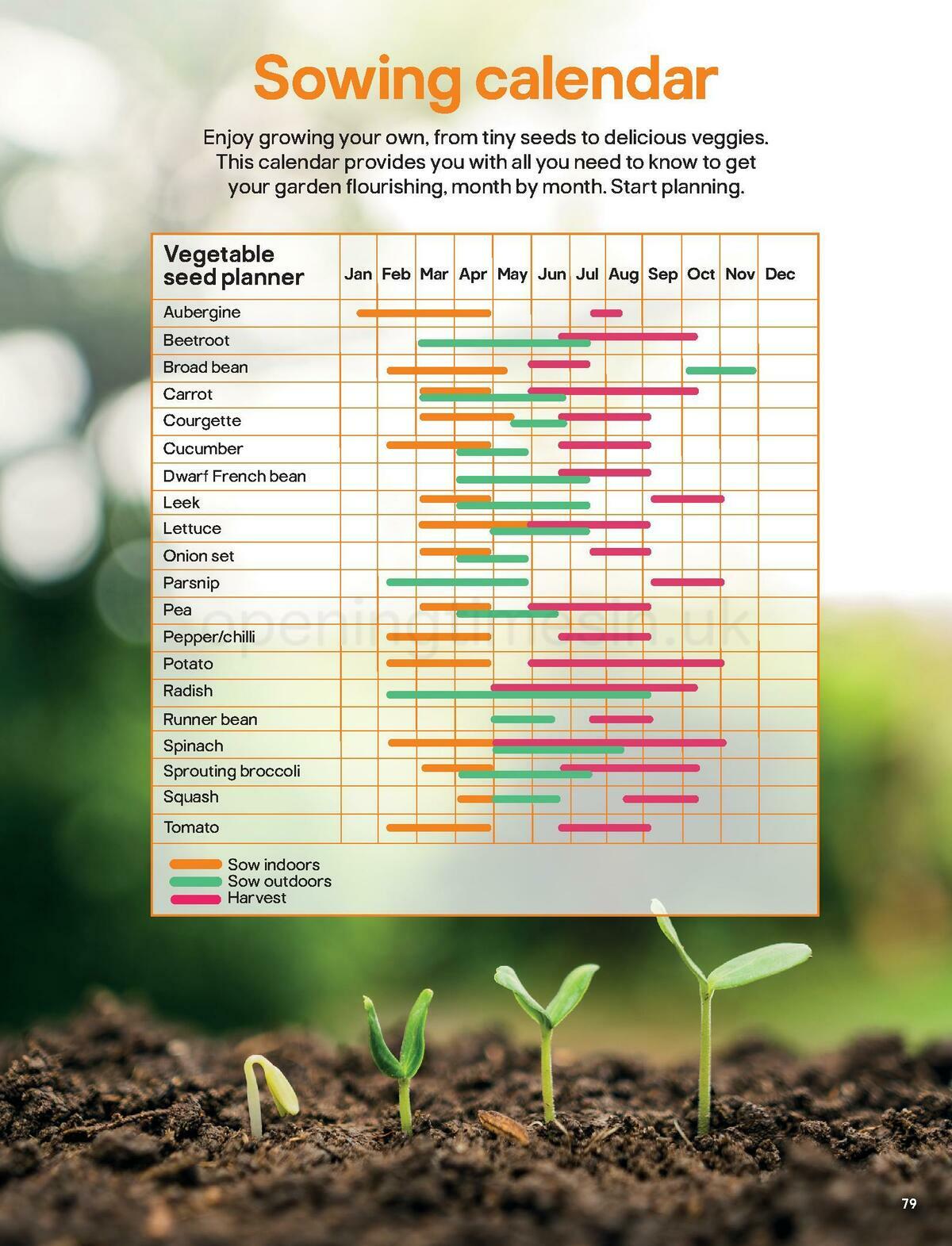 B&Q Outdoors Offers from 1 March