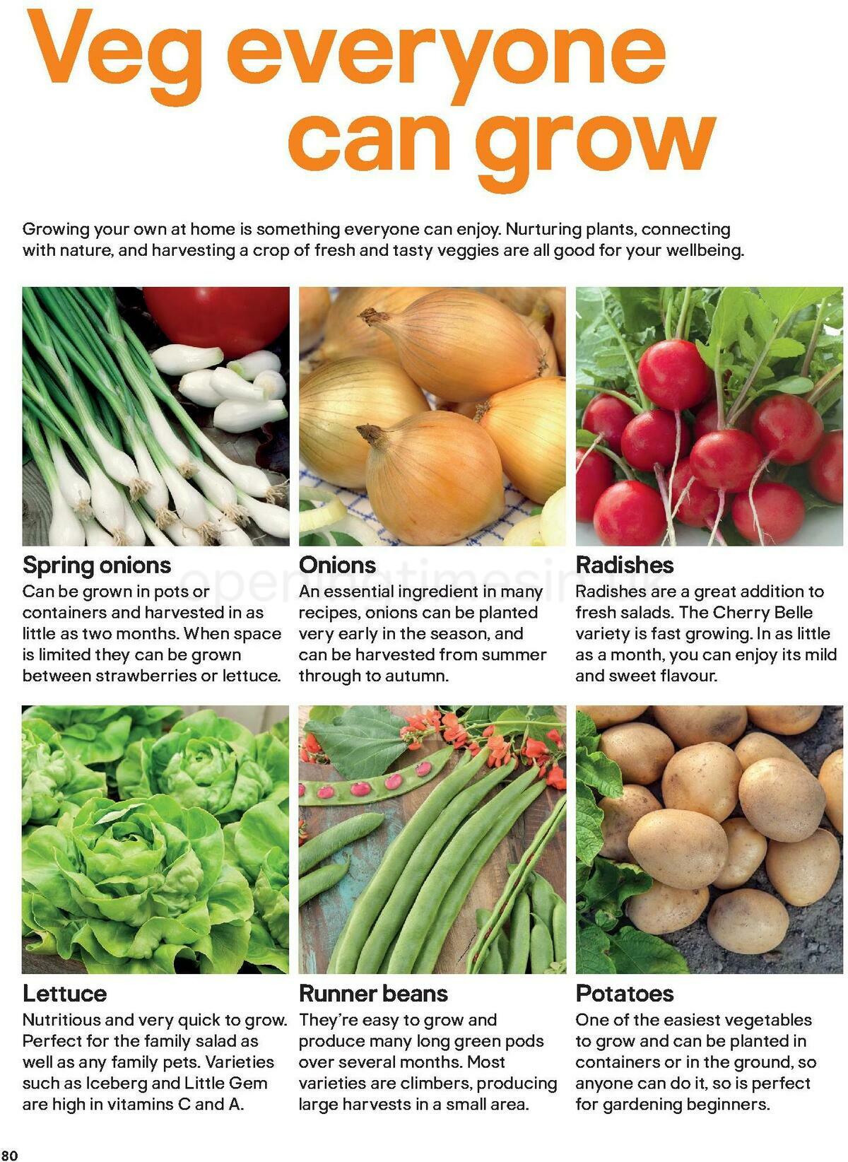 B&Q Outdoors Offers from 1 March