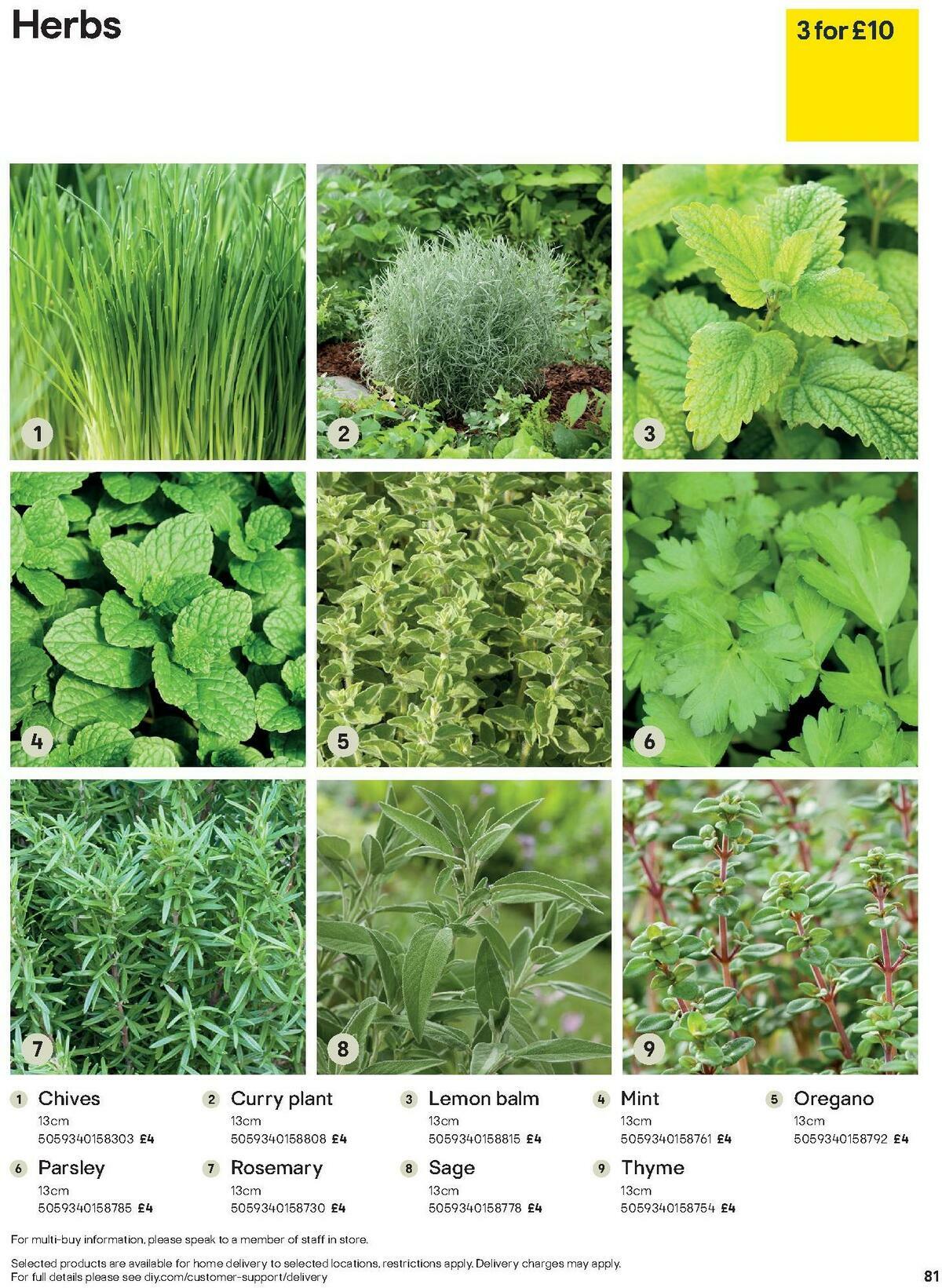 B&Q Outdoors Offers from 1 March