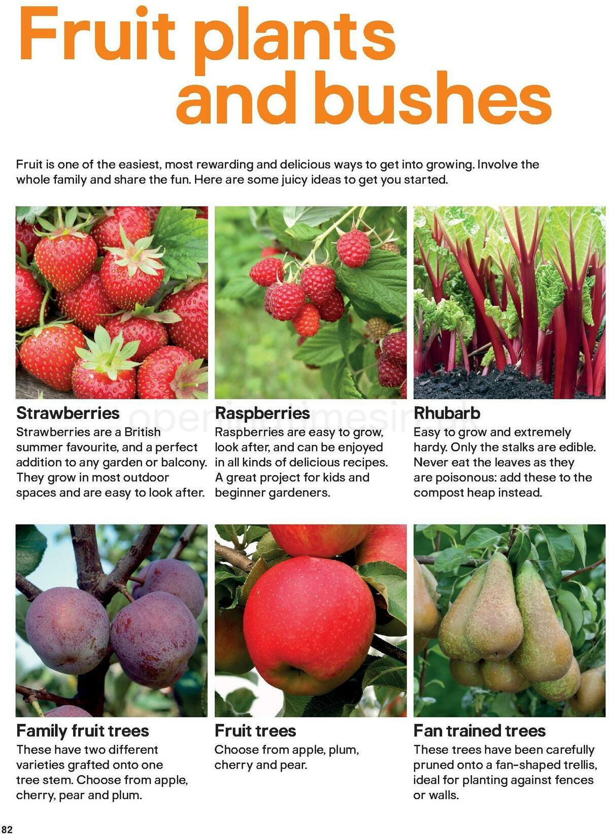 B&Q Outdoors Offers from 1 March