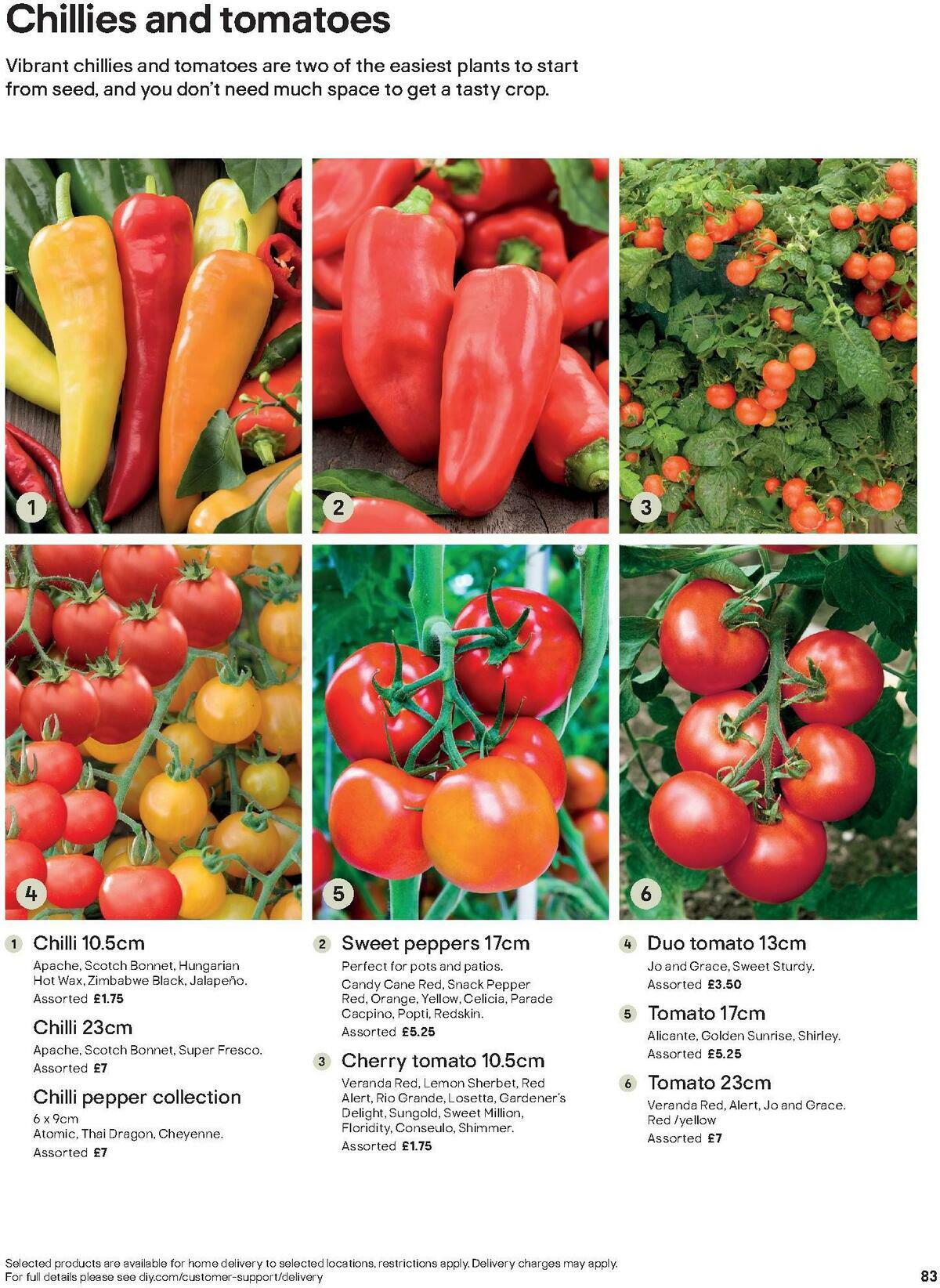 B&Q Outdoors Offers from 1 March