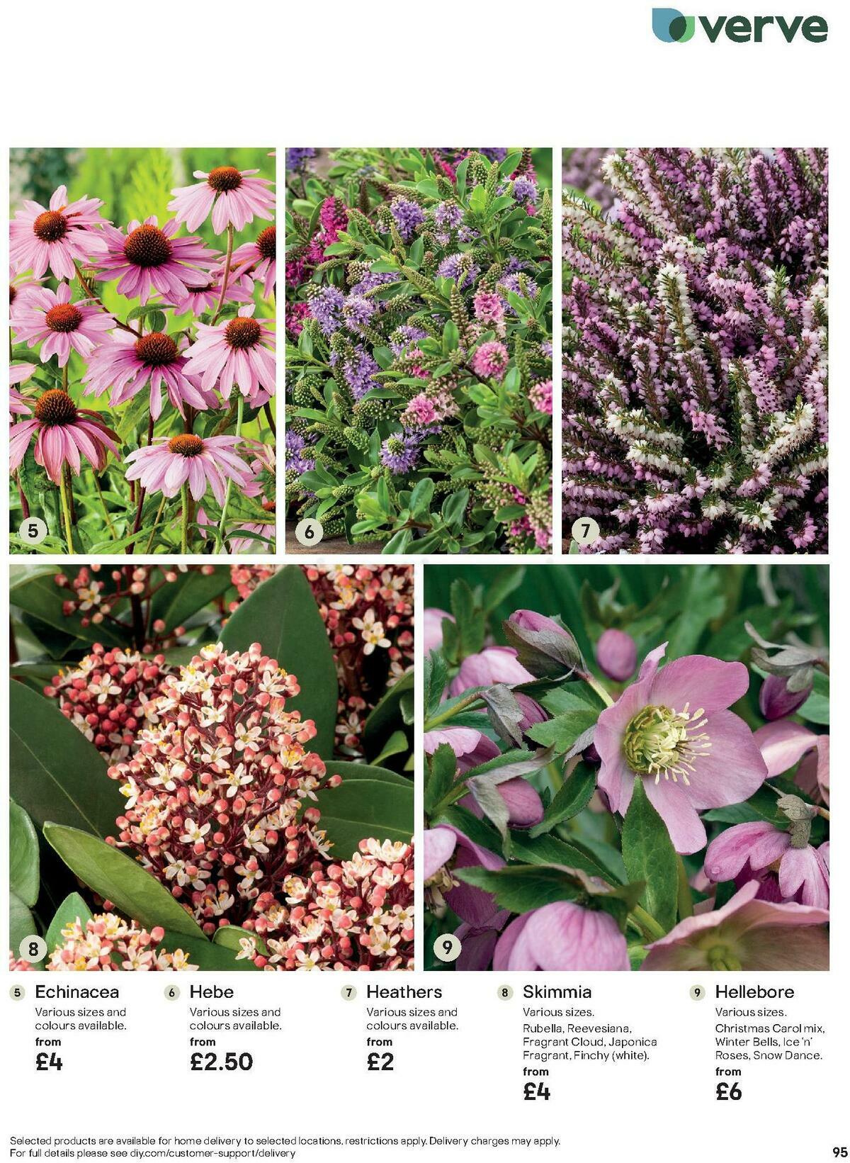 B&Q Outdoors Offers from 1 March