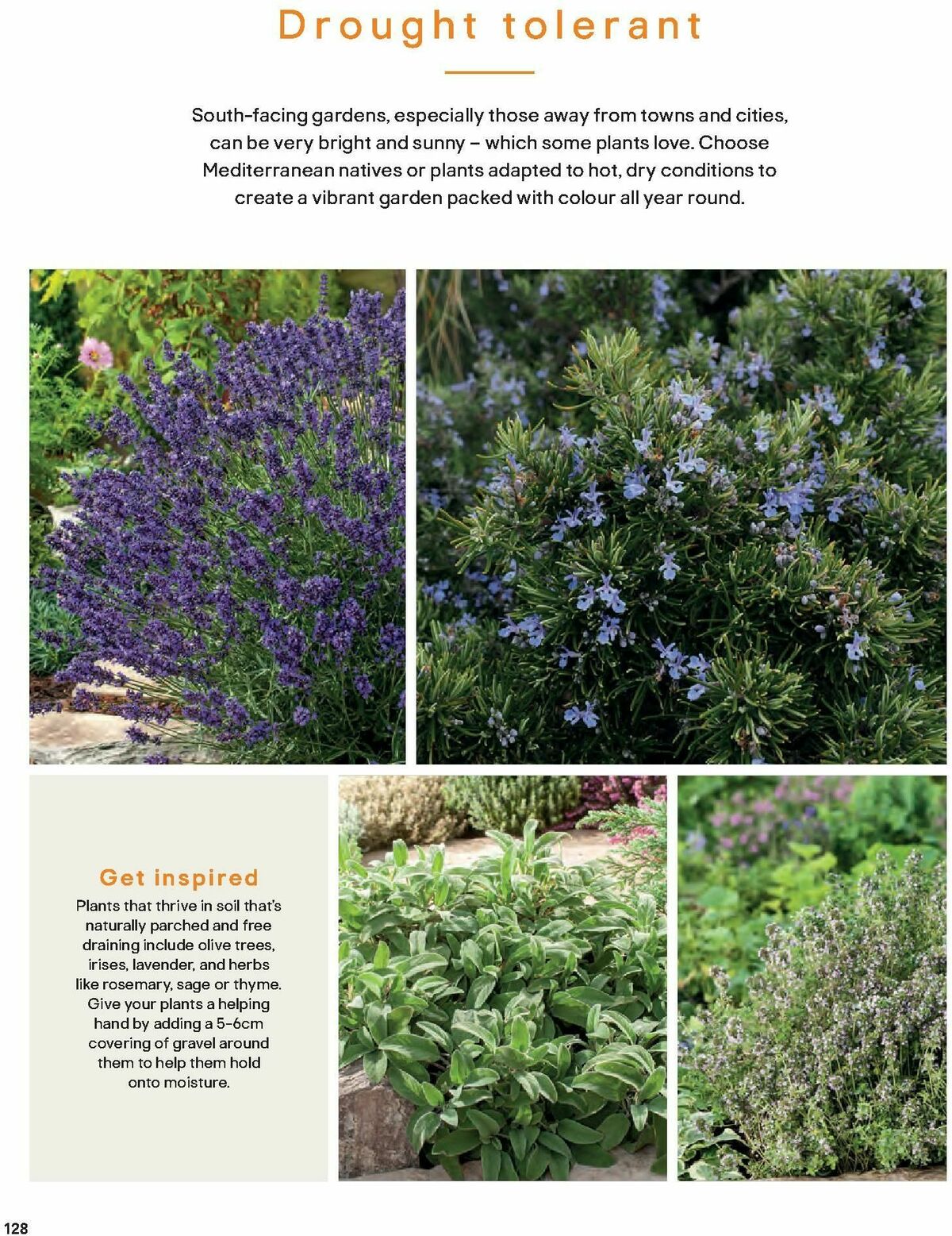 B&Q Outdoors Offers from 8 March