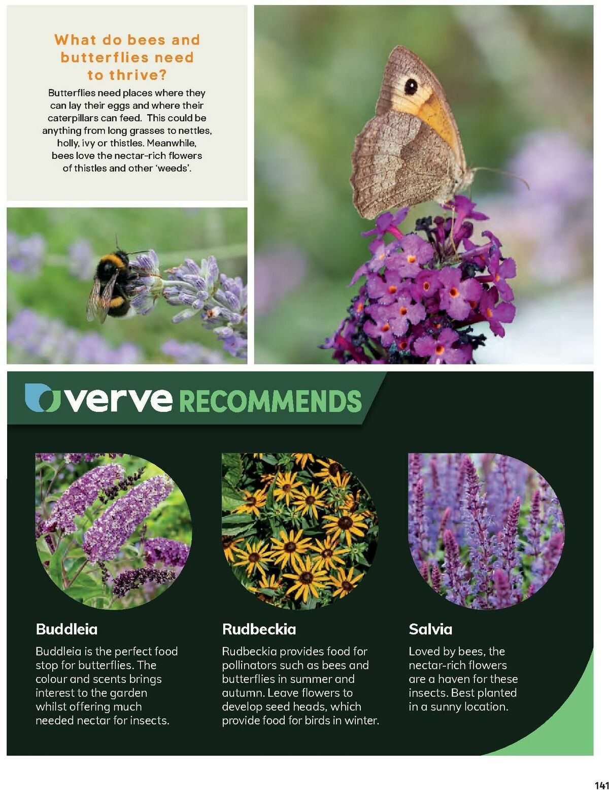 B&Q Outdoors Offers from 8 March