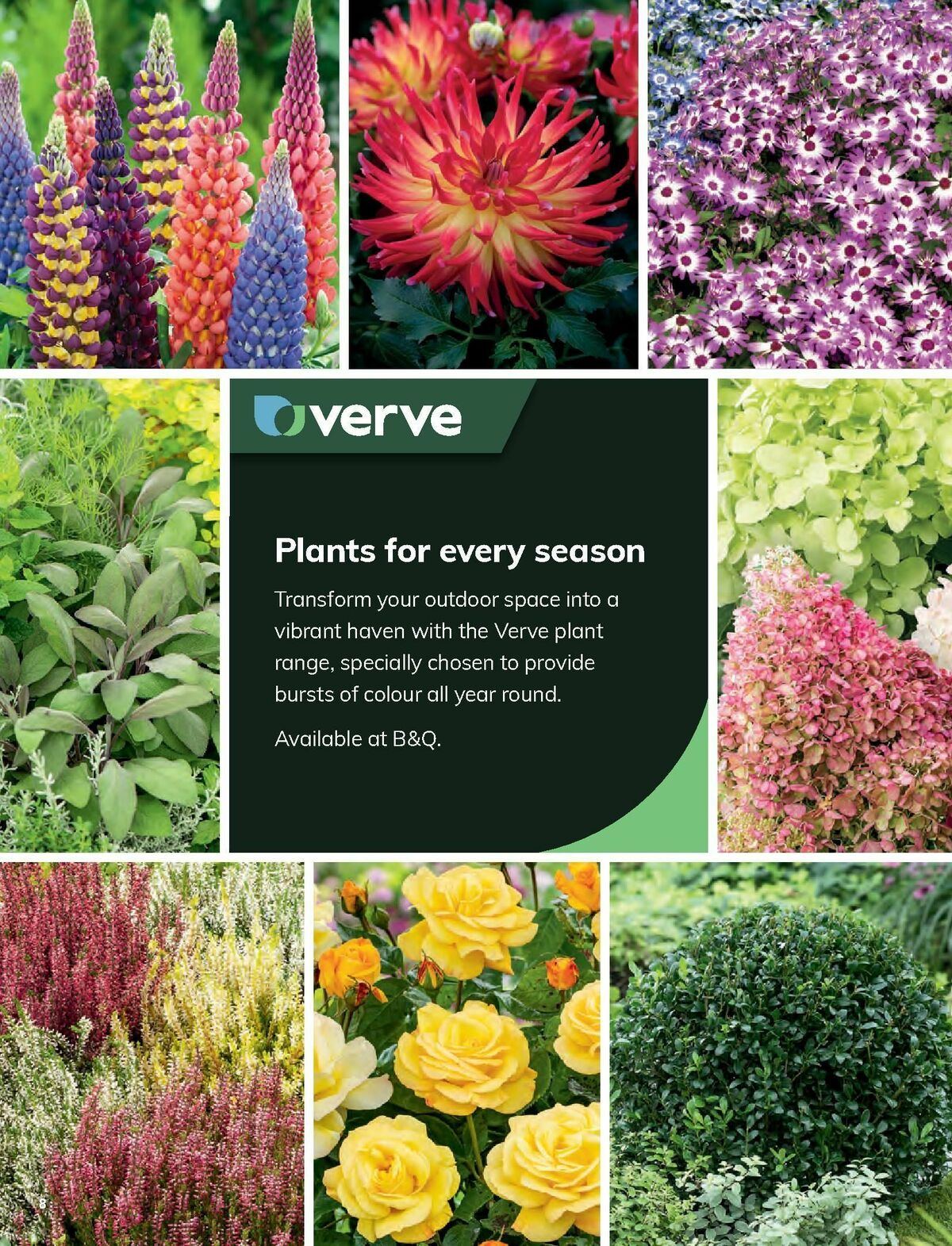 B&Q Outdoors Offers from 8 March