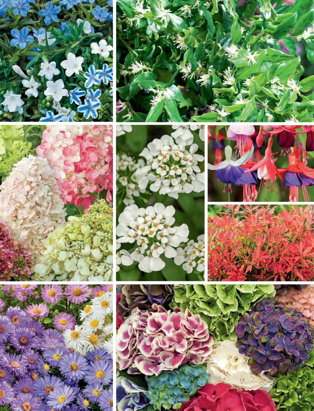 B&Q Outdoors Offers from 8 March