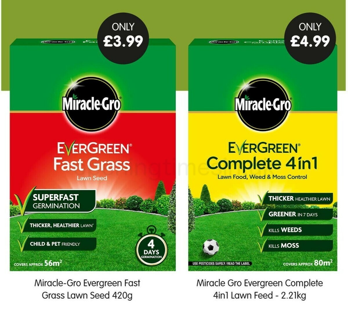 Home Bargains Garden Offers from 10 April