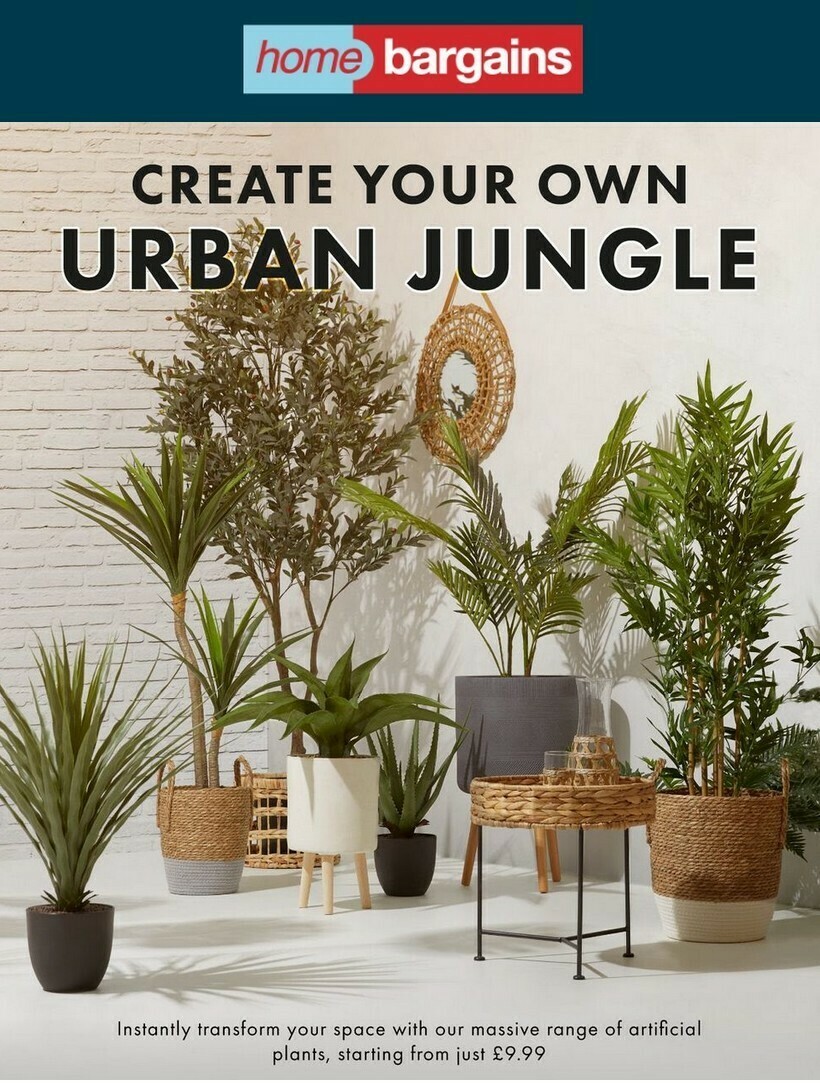 Home Bargains Transform Your Garden Offers from 5 April
