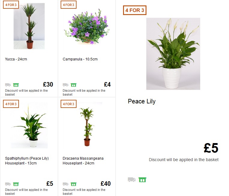 Homebase Offers from 5 June