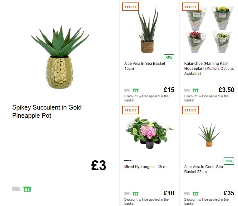 Homebase Offers from 5 June