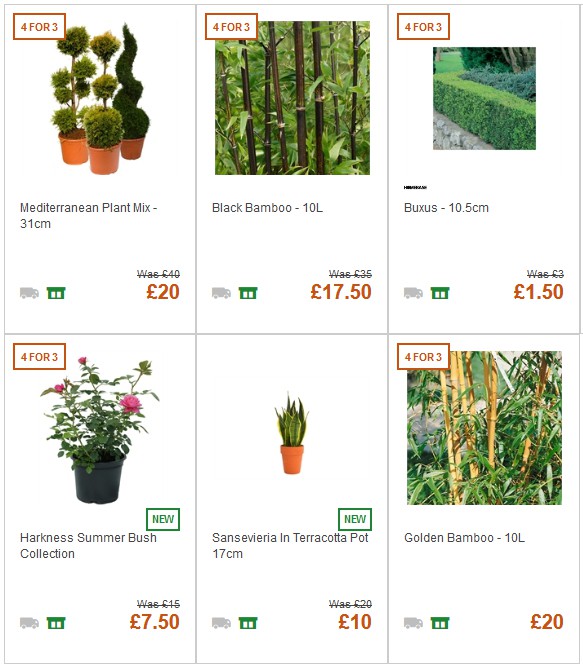 Homebase Offers from 1 September