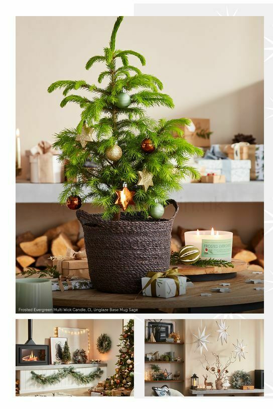 Homebase Offers from 1 December