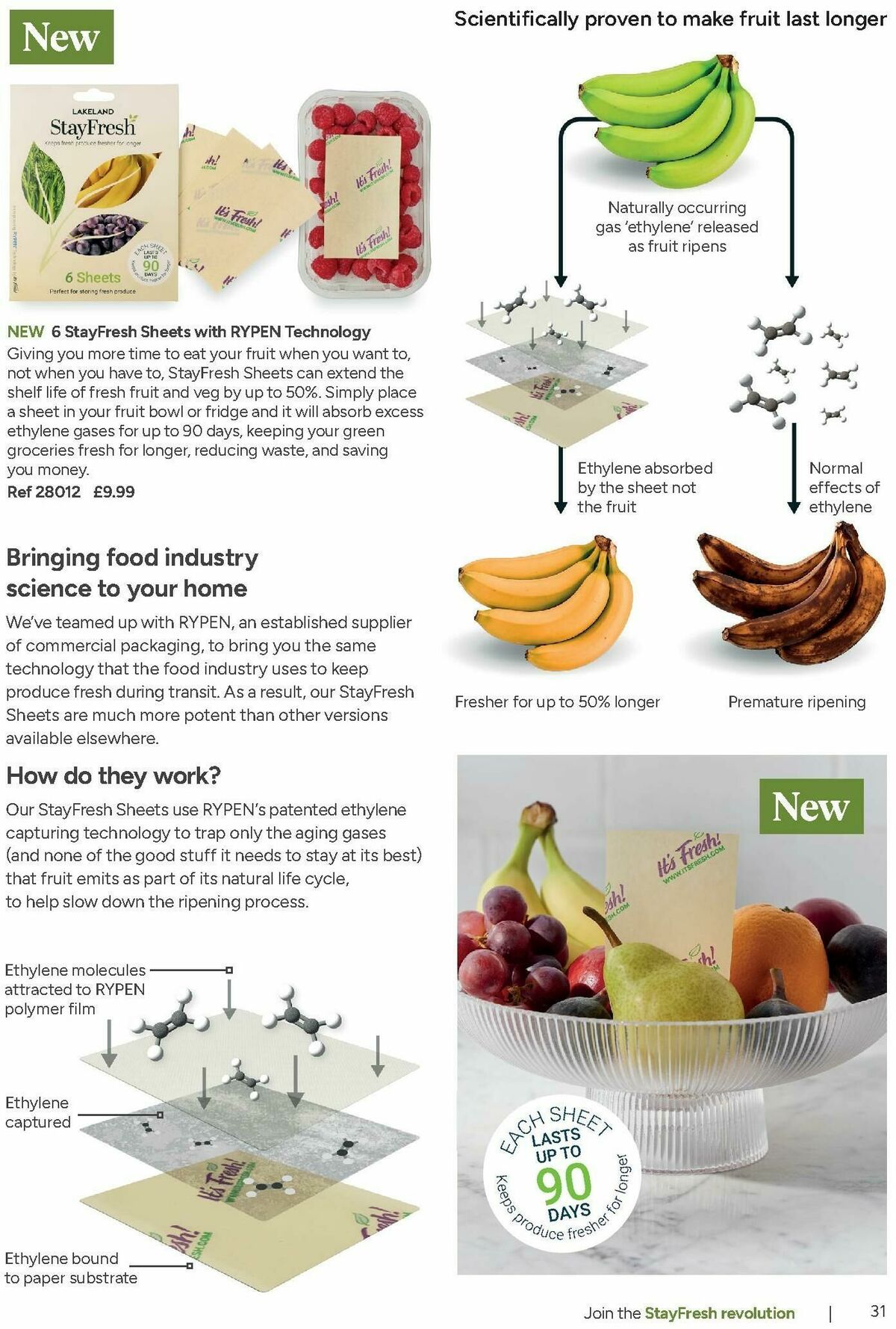 Lakeland Offers from 31 August