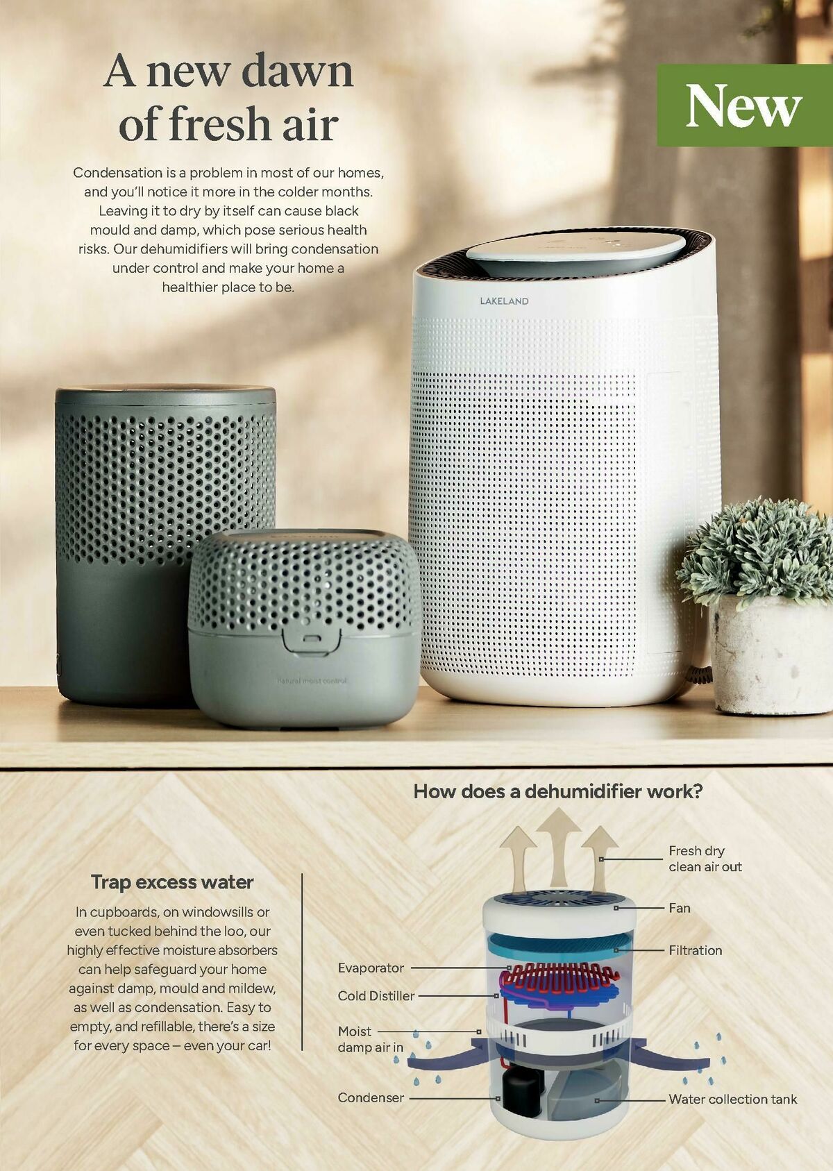 Lakeland Offers from 31 August