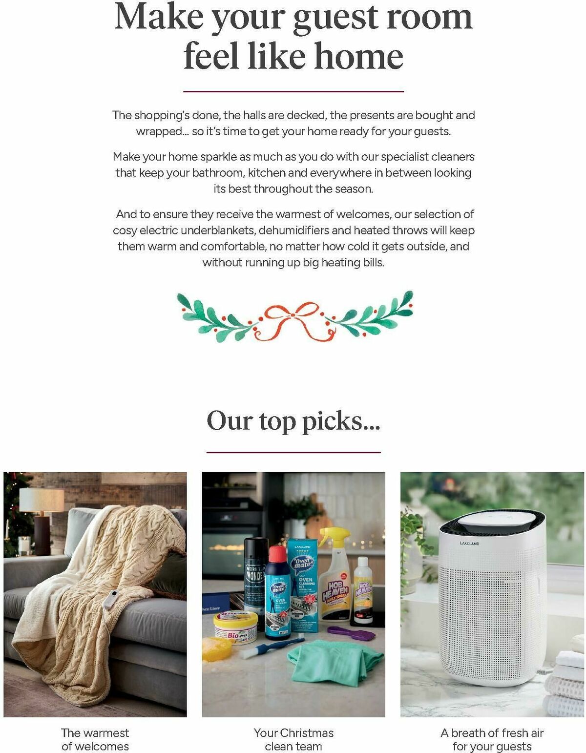 Lakeland Christmas Catalogue Offers from 10 November