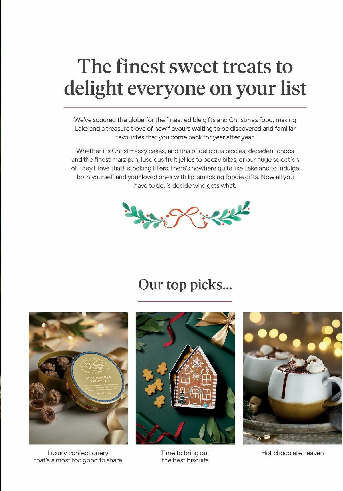 Lakeland Christmas Catalogue Offers from 10 November