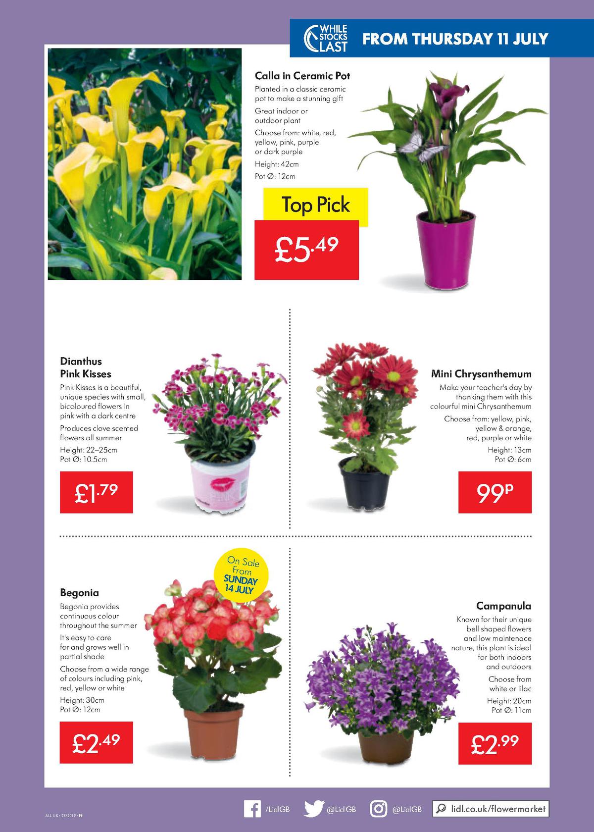 LIDL Offers from 11 July