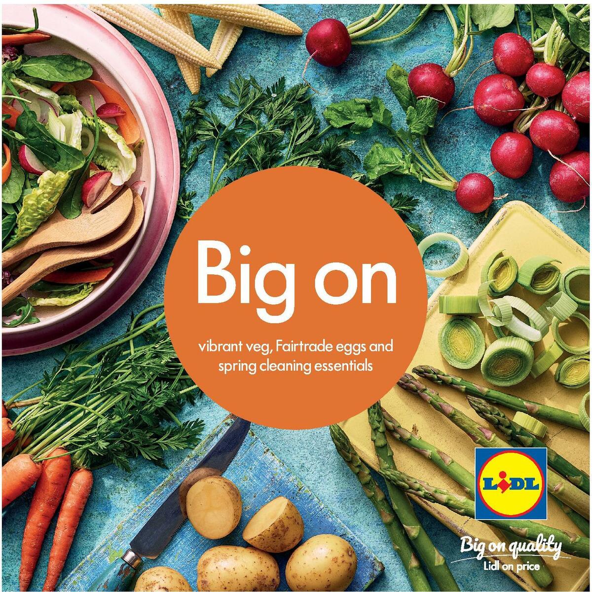 LIDL Spring Magazine Offers from 15 March