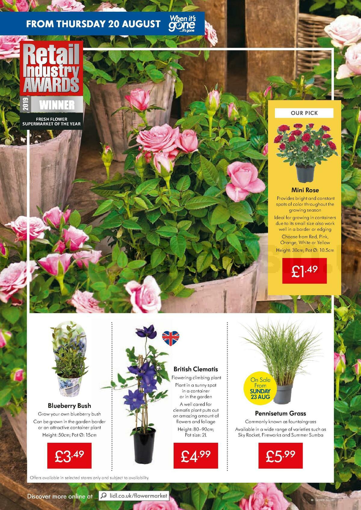 LIDL Offers from 20 August