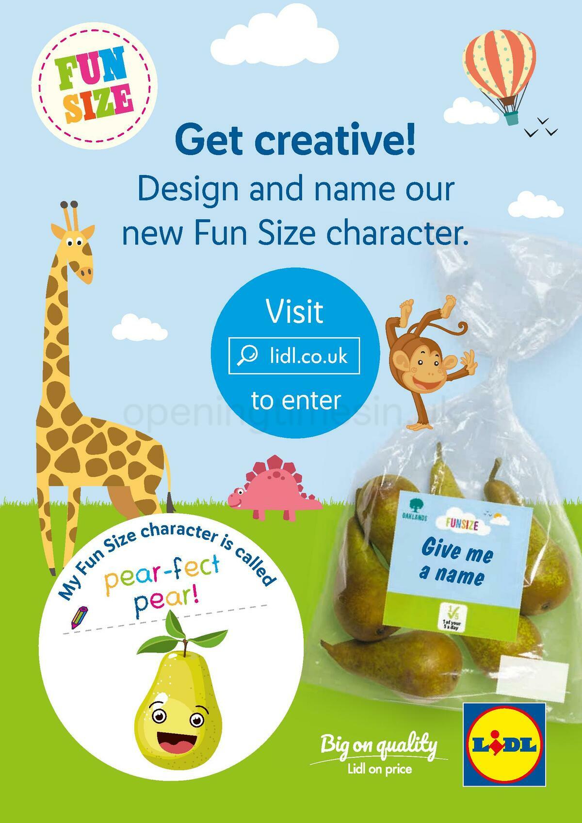 LIDL Offers from 21 January