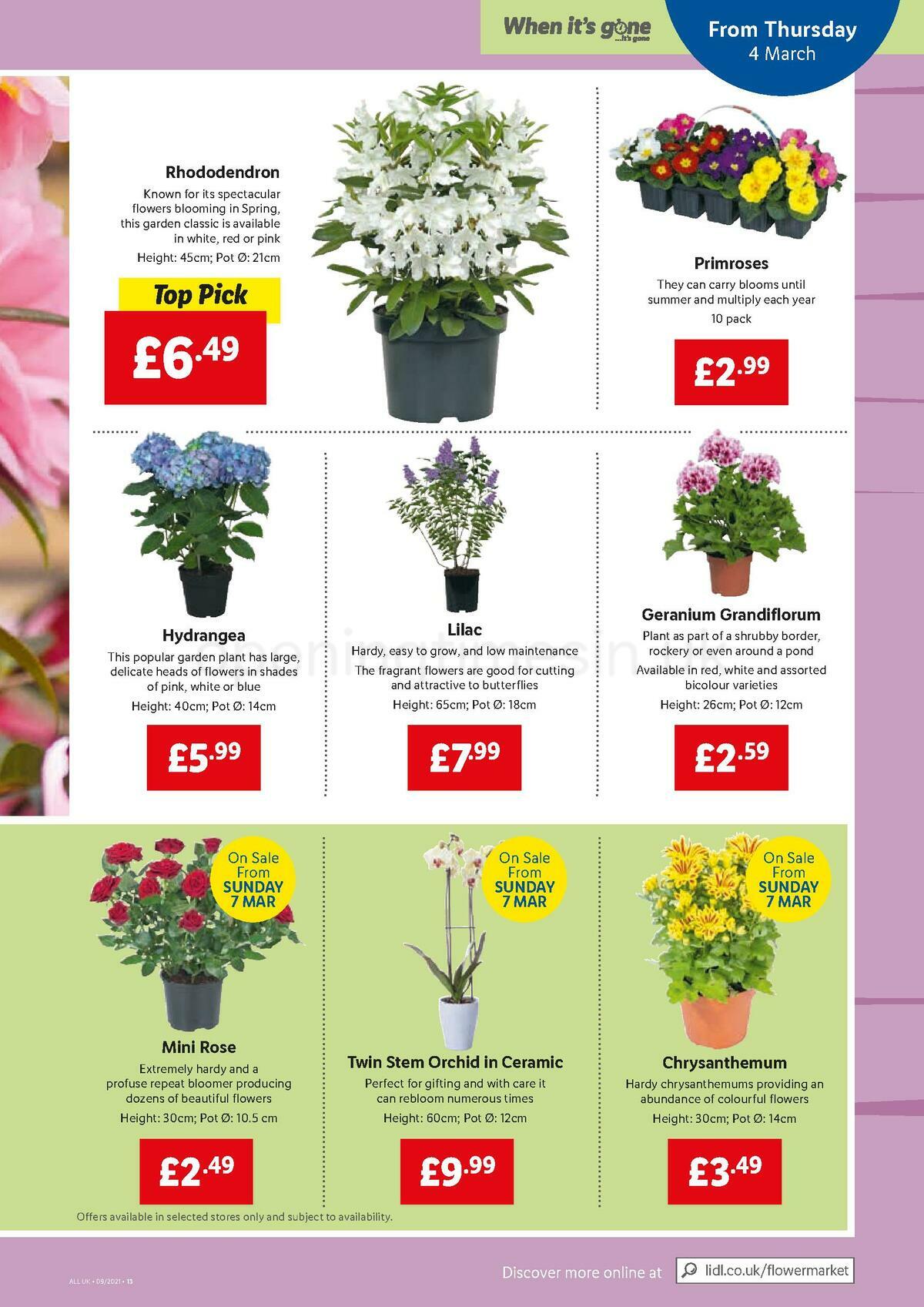 LIDL Offers from 4 March